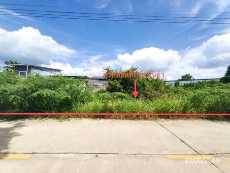 รูป ที่ดินว่างเปล่า 249 ตร.วา สิงหนคร สงขลา 3.4M - รูปที่ 16/19