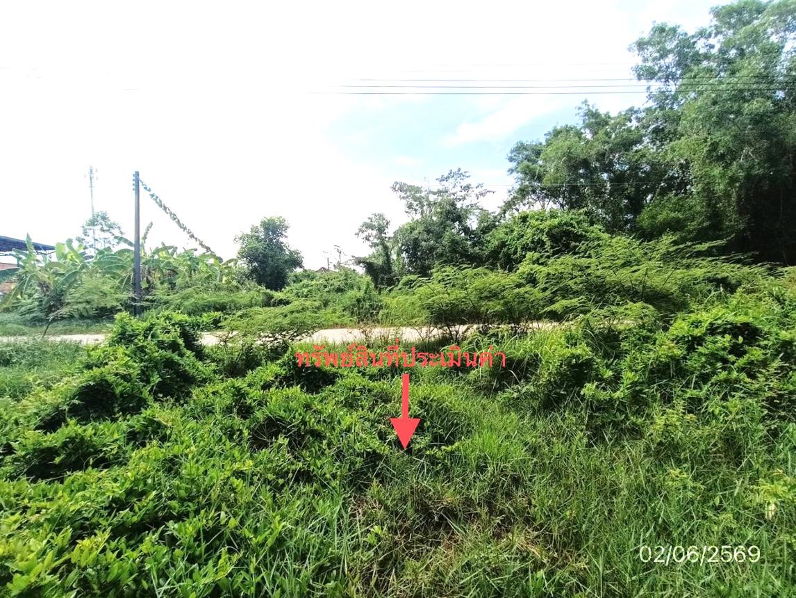 รูป ที่ดินว่างเปล่า 249 ตร.วา สิงหนคร สงขลา 3.4M - รูปที่ 15/19