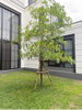 listing thumbnail image 22