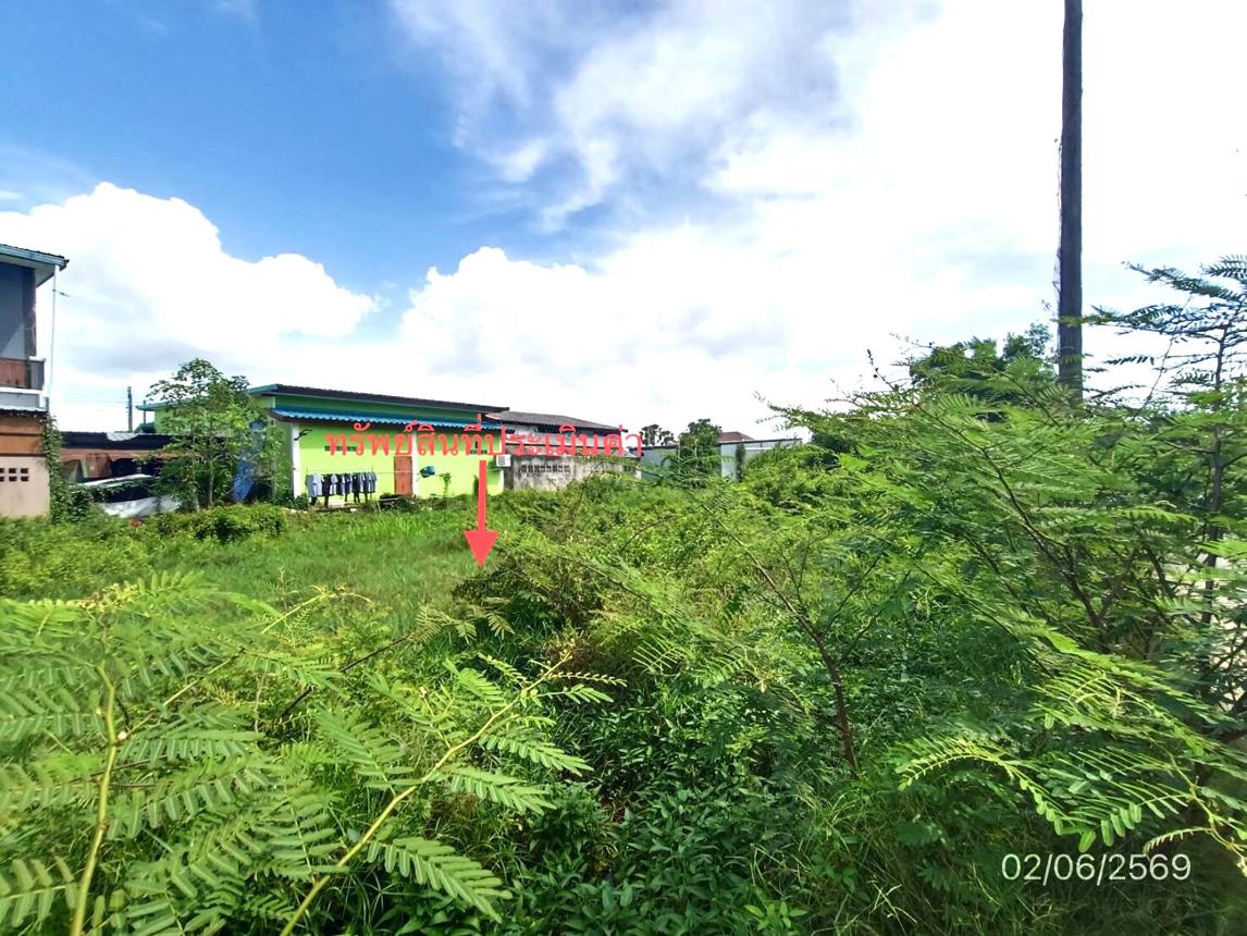 รูป ที่ดินว่างเปล่า 249 ตร.วา สิงหนคร สงขลา 3.4M - รูปที่ 14/19