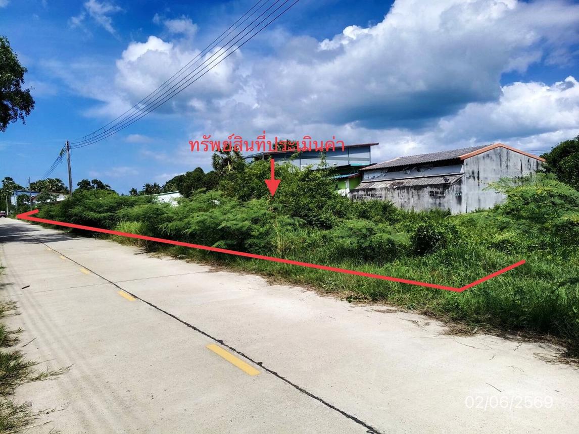 รูป ที่ดินว่างเปล่า 249 ตร.วา สิงหนคร สงขลา 3.4M - รูปที่ 11/19