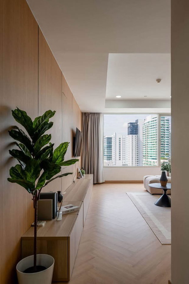 picture  Hampton Thonglor                     10  - 3/4