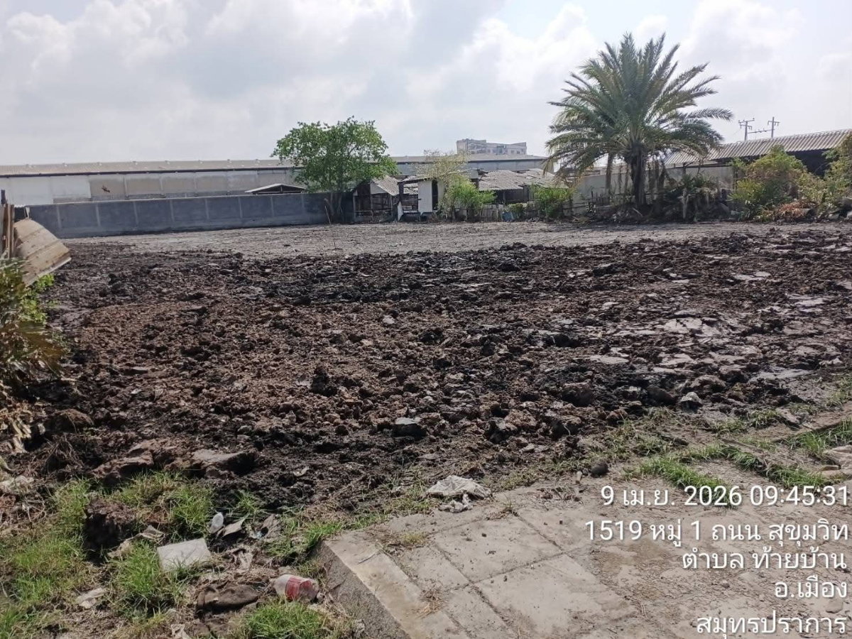 picture Land ready to use in Samutprakarn - 4/7