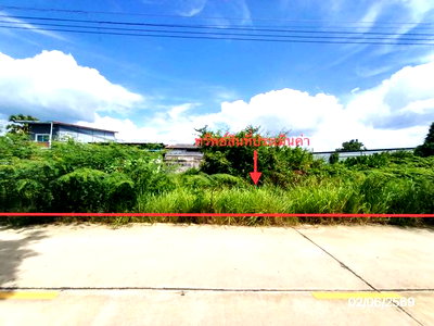 ขายที่ดิน : ที่ดินว่างเปล่า 249 ตร.วา สิงหนคร สงขลา 3.4M