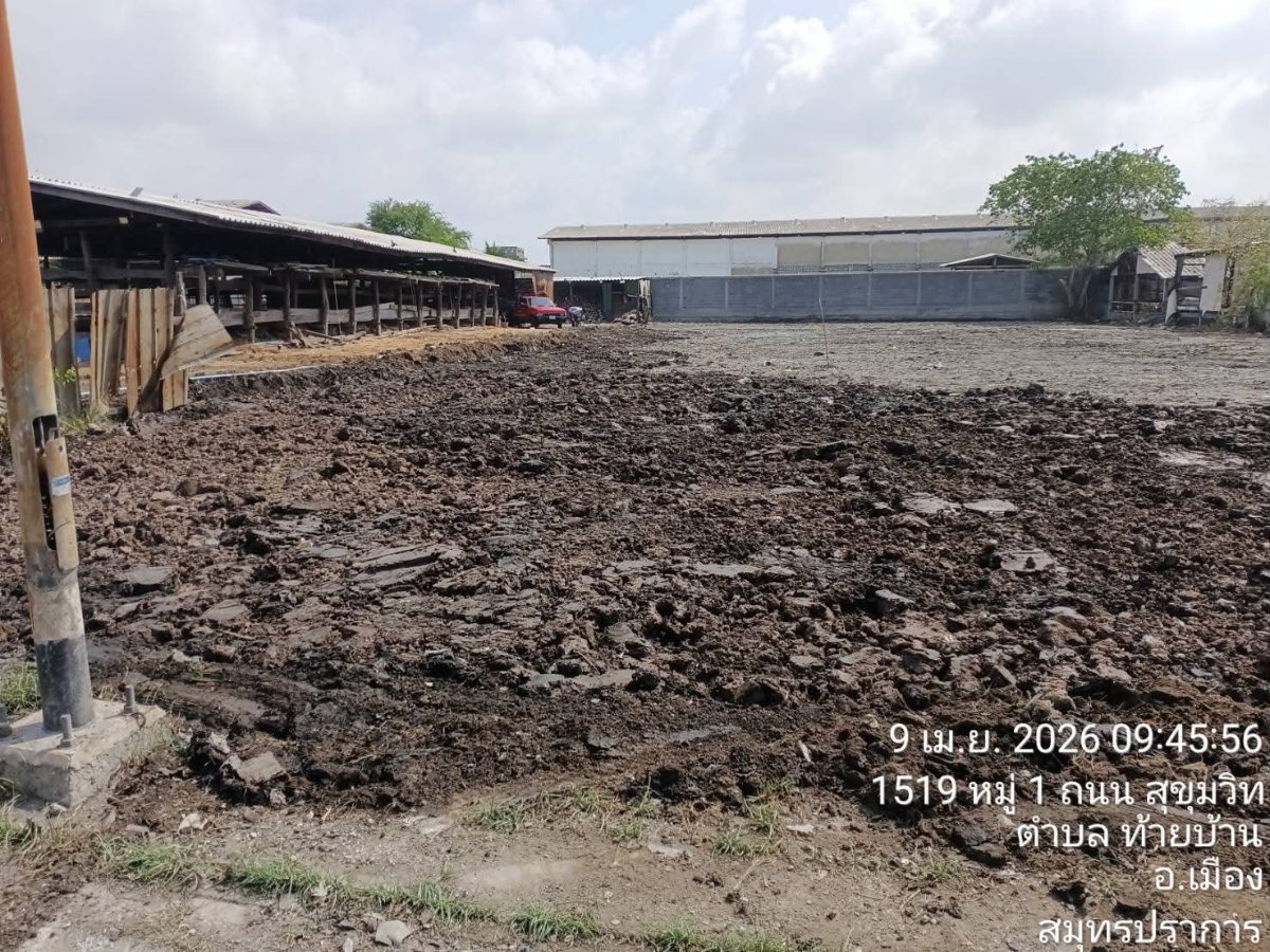 picture Land ready to use in Samutprakarn - 7/7