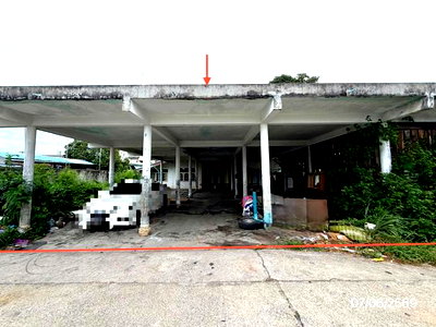 บ้านเดี่ยว หนองปรือ ชลบุรี : บ้านเดี่ยว 173 ตร.วา บางละมุง ชลบุรี 4.5M