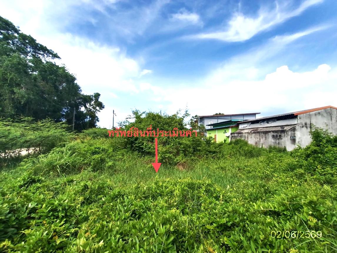 รูป ที่ดินว่างเปล่า 249 ตร.วา สิงหนคร สงขลา 3.4M - รูปที่ 13/19
