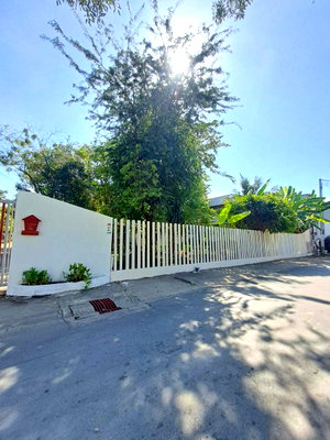 Land for sale Prawet : Single house for sale near Suan Luang Rama 9, shady atmosphere
