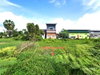 listing thumbnail image 11