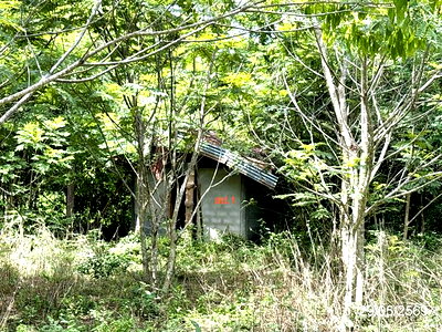Houses for sale Khuang Nai Ubon Ratchathani : HOME 398 Sq.w. Khuang Nai Ubon Ratchathani for 348,000