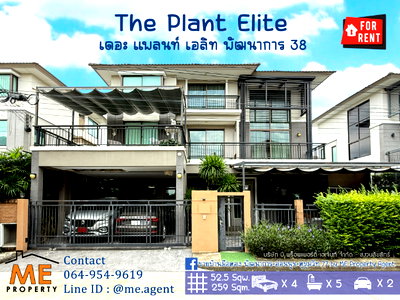 เช่าบ้านเดี่ยว ทรู ทาวเวอร์ พัฒนาการ : ให้เช่า บ้านเดี่ยวหลังใหญ่ เดอะ แพลนท์ เอลิท พัฒนาการ 38 4 นอน 5 น้ำ+ห้องแม่บ้าน เฟอร์ครบ  ใกล้ เอกมัย - ทองหล่อ - สุขุมวิท  (RBL12-52)