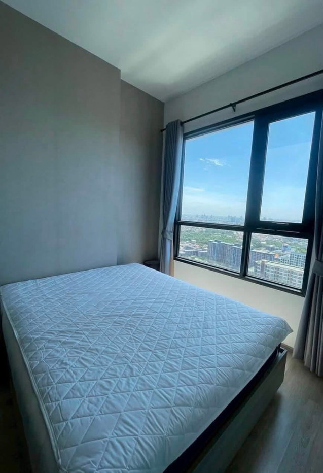 picture Knightsbridge Prime              Onnut  - 5/5