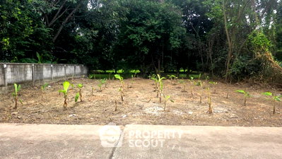 ที่ดิน สำนักงานขนส่งจังหวัดเชียงใหม่ : ขายที่ดินหนองควาย หางดง เชียงใหม่ (ID 3100477)