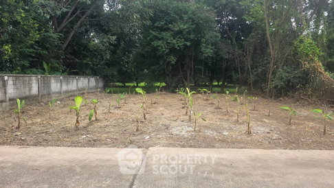 ขายที่ดินหนองควาย หางดง เชียงใหม่ (ID 3100477)