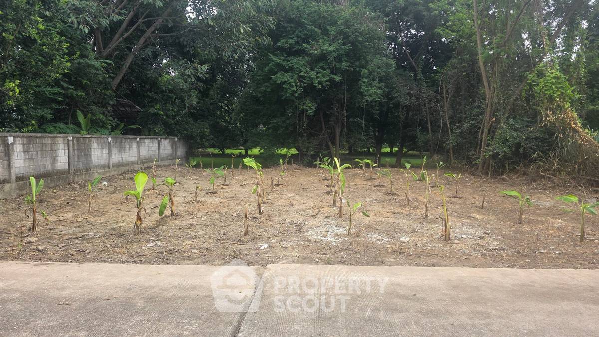 รูป ขายที่ดินหนองควาย หางดง เชียงใหม่ (ID 3100477) - รูปที่ 1/4