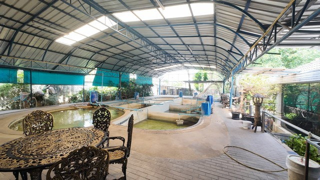 รูป หมู่บ้านรัตนธานี9 ใกล้ทางด่วน เดินทางเข้าออกสะดวก - รูปที่ 11/18