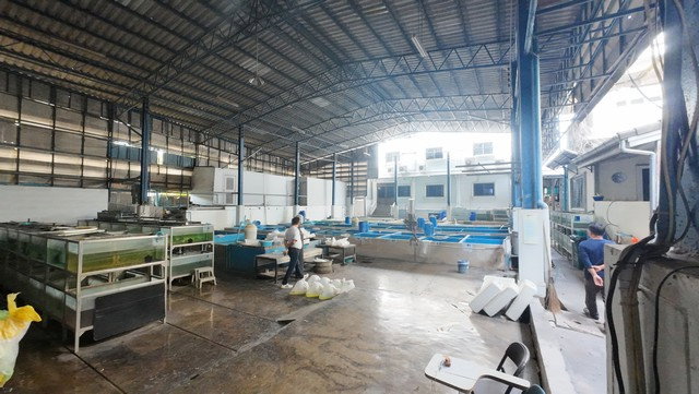รูป หมู่บ้านรัตนธานี9 ใกล้ทางด่วน เดินทางเข้าออกสะดวก - รูปที่ 9/18