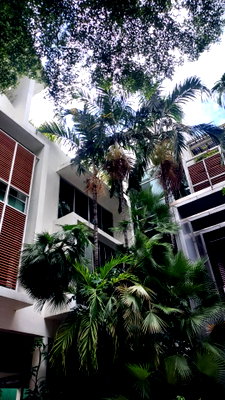 สำนักงาน ถนนเพชรบุรี (ตัดใหม่) กรุงเทพฯ : LTHC15975 - Premium Office Building for Sale Asoke, Sukhumvit 2X | 350 MB | อาคารสำนักงานพรีเมียมขาย อโศก สุขุมวิท 2X