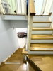 listing thumbnail image 13