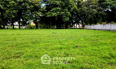 Land for sale Chiang Mai : Land For Sale In Choeng Doi, Doi Saket (Chiang Mai) (ID 3110739)