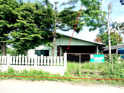 บ้านเดี่ยว เชียงราย : บ้านเดี่ยว 105 ตร.วา แม่จัน เชียงราย 1.5M