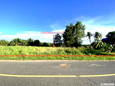 ขายที่ดิน : ที่ดินว่างเปล่า 163.4 ตร.วา รัตภูมิ สงขลา 1.2M