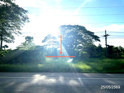 ขายที่ดิน : ที่ดินว่างเปล่า 2134.8 ตร.วา วิเชียรบุรี เพชรบูรณ์ 4.2M