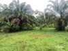 listing thumbnail image 16