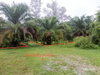 listing thumbnail image 14