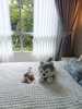 listing thumbnail image 9
