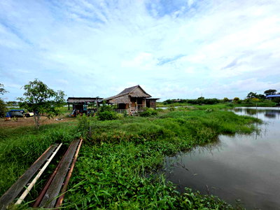 ขายที่ดิน : ขายที่ดิน เปล่า 100 ไร่ สมุทรปราการ