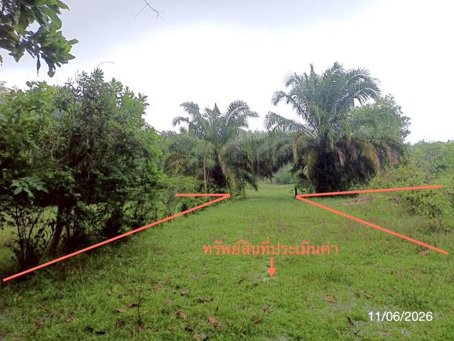 รูป ที่ดินว่างเปล่า 1463.3 ตร.วา ปะเหลียน ตรัง 2.9M - รูปที่ 5/21
