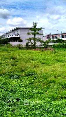 Land for sale Chiang Mai : 373 Sqm Land For Sale In Pa Phai, San Sai, Chiang Mai (ID 3047751)