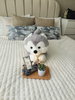 listing thumbnail image 3