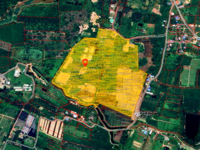 Land for sale King Mongkut s University of Technology North Bangkok Prachin Buri Campus : Cocoa & Banana Farm with Rice Fields for Sale – 71 Rai Near Khao Yai, Prachinburi. Great Value, Prime Investment Opportunity!