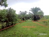 listing thumbnail image 12