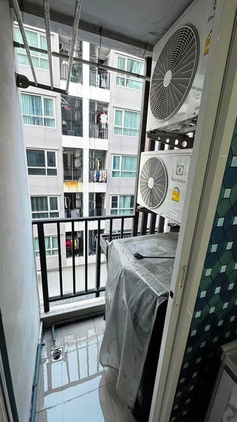 picture A010348 Regent Orchid Talad Plu - 7/8