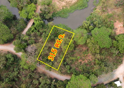 Land for sale Chiang Mai : Land for sale in Mae Rim District, Chiang Mai Province.
