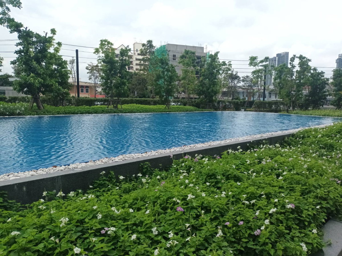 picture **New Condo for sale --cheaper than the developer price-- - 31/38