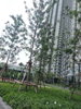 listing thumbnail image 28