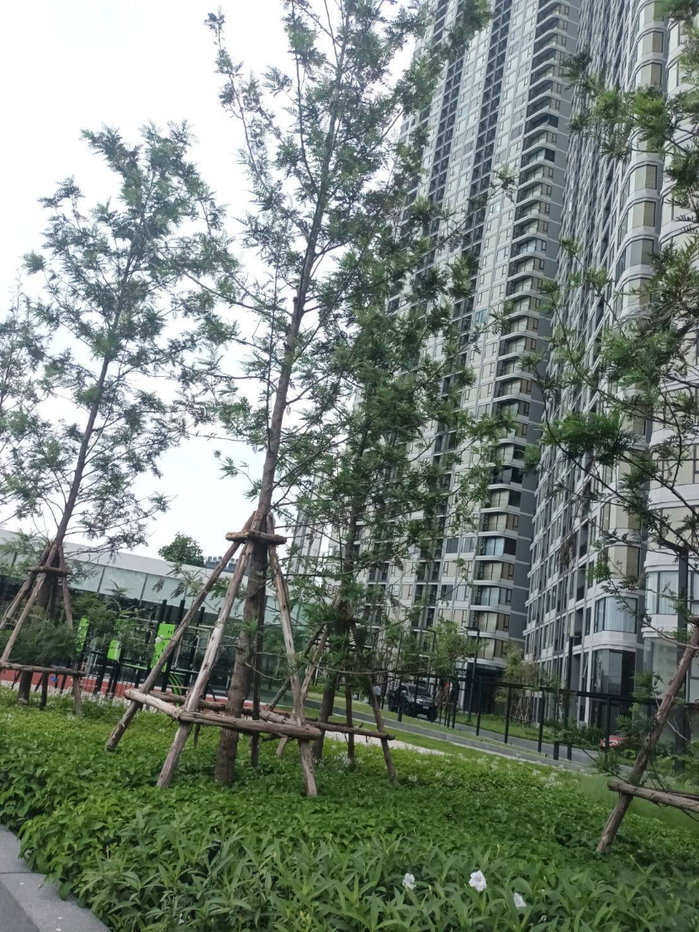 picture **New Condo for sale --cheaper than the developer price-- - 29/38