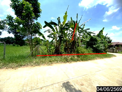 ขายที่ดิน : ที่ดินว่างเปล่า 187.9 ตร.วา ท่าลี่ เลย 602,000