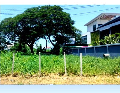 Land for rent Mongkolthepmuni Hospital : Land for rent, 310 wah,  Phetkasem 64 Rd. ,for car park, restaurants, warehouses, sports, or studios. Near MRT, Rajawinit Bang Khae School
