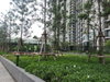 listing thumbnail image 29