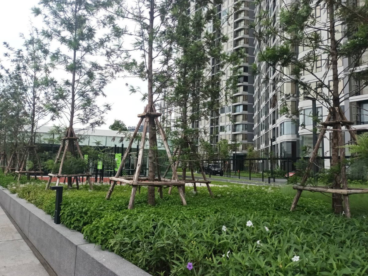 picture **New Condo for sale --cheaper than the developer price-- - 30/38