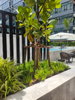 listing thumbnail image 25