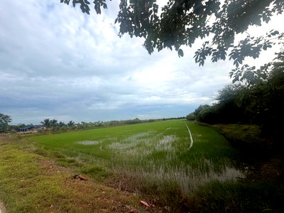 ขายที่ดิน : ขายที่ผืนใหญ่สวยมาก 26 ไร่ อ.เมืองปทุมธานี จ.ปทุมธานี