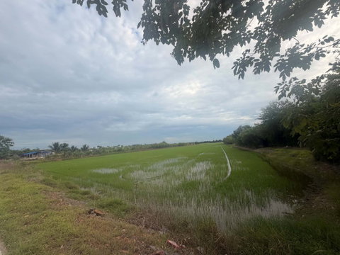 ขายที่ผืนใหญ่สวยมาก 26 ไร่ อ.เมืองปทุมธานี จ.ปทุมธานี