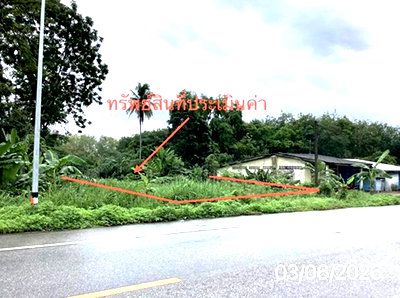 ขายที่ดิน : ที่ดินว่างเปล่า 285.9 ตร.วา ปะเหลียน ตรัง 2.7M