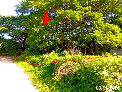ที่ดิน ศาลหลักเมืองจังหวัดอุดรธานี : ที่ดินว่างเปล่า 1862.1 ตร.วา เมืองอุดรธานี อุดรธานี 13.4M